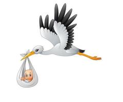dessin animé cigogne portant bébé vecteur