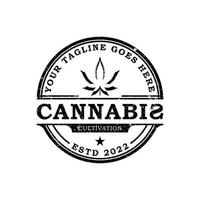 création de logo d'étiquette de timbre rectangle de chanvre cannabis marijuana vintage vecteur