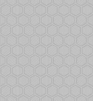 fond transparent vecteur gris avec des hexagones blancs