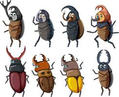 ensemble de différents insectes et coléoptères en style cartoon