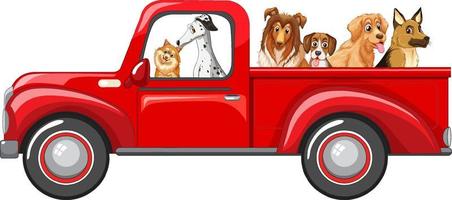 beaucoup de chiens à cheval sur un camion rouge vecteur