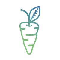 ligne bio nutrition végétale carotte vecteur