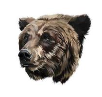 portrait de tête d'ours à partir de peintures multicolores. dessin coloré. illustration vectorielle de peintures
