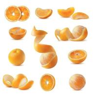 ensemble d'oranges réalistes vecteur