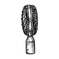 croquis de microphone rétro isolé. équipement de musique pour la parole dans un style dessiné à la main. vecteur