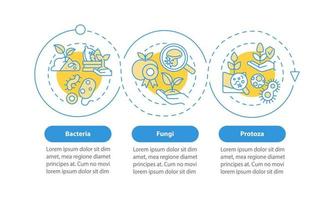 gestion du modèle d'infographie du cercle bleu des microbes du sol. champignon. visualisation des données en 3 étapes. graphique d'informations sur la chronologie du processus. mise en page du flux de travail avec des icônes de ligne. myriade de polices pro-gras régulières utilisées vecteur