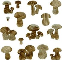 cèpe, boletus edulis, cèpes. ensemble vectoriel de champignons comestibles d'applications de texture produit isolé.végétarien.