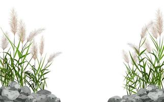 roseau dessiné à la main ou herbe de pampa entourée de pierres grises. silhouette de canne sur fond blanc. bordure ou cadre de plantes vertes. vecteur