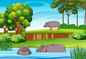 hippopotame vivant sur la scène de la nature vecteur