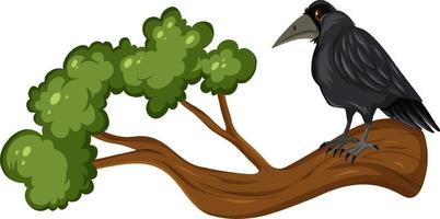 corbeau debout sur une branche vecteur