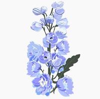 illustration vectorielle de delphinium. fleurs épanouies de pied d'alouette. bourgeons de pivoine d'hiver bleu. isolé sur fond blanc. élégant dessin botanique détaillé d'une plante à fleurs sauvages. invitation. vecteur