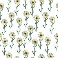 modèle sans couture de marguerites simples délicates avec des feuilles minces sur fond blanc vecteur