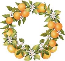 couronne de branches d'orangers en fleurs à l'aquarelle dessinées à la main, fleurs et oranges, illustration isolée sur fond blanc vecteur