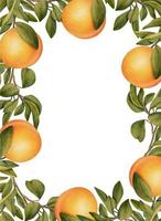 cadre de branches d'orangers en fleurs à l'aquarelle dessinées à la main et orange, illustration isolée sur fond blanc