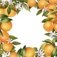 cadre de branches d'orangers en fleurs à l'aquarelle dessinées à la main et orange, illustration isolée sur fond blanc vecteur
