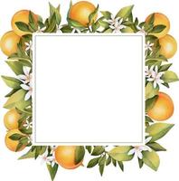 cadre de branches d'oranger en fleurs à l'aquarelle dessinées à la main, fleurs et orange, illustration isolée sur fond blanc