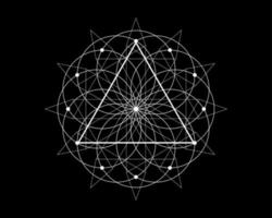 symbole de triangle magique de géométrie sacrée, signe du troisième oeil. mandala mystique géométrique d'alchimie ésotérique fleur de vie. cercle de vecteur d'art de ligne blanche amulette méditative divine isolée sur fond noir