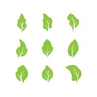 logo de feuilles vertes icônes de feuilles vertes définies modèle vectoriel