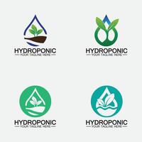 conception d'illustration d'icône de vecteur de logo hydroponique