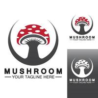 modèle de conception de vecteur de logo champignon