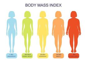 indice de masse corporelle d'insuffisance pondérale à extrêmement obèse. vecteur