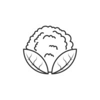 icône de contour d'illustration de chou-fleur vecteur