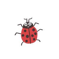 vecteur dessin animé insecte coccinelle rouge noir