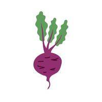 doodle de betterave aux légumes vecteur