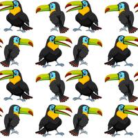 Toucan sur wallpeper sans soudure vecteur