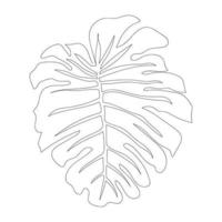 monstera feuille un dessin au trait illustration vectorielle design minimaliste minimalisme style dessiné à la main isolé un fond blanc vecteur