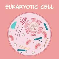 schéma des composants d'une cellule eucaryote