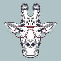 girafe dessinée à la main portant des lunettes rouges vecteur