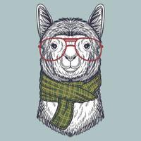 lama dessiné à la main portant des lunettes rouges et une écharpe vecteur