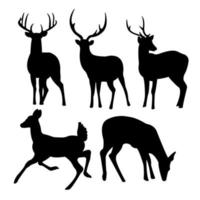 isolé sur fond blanc, une collection de silhouettes vectorielles de cerfs vecteur