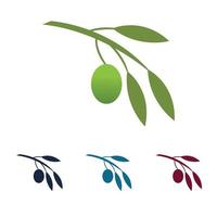 logo icône olive vecteur