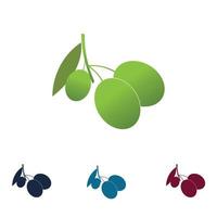 logo icône olive vecteur