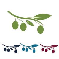 logo icône olive vecteur