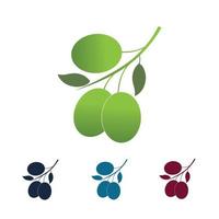 logo icône olive vecteur