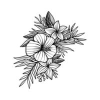 main, dessin, floral, vendange, illustration, vecteur