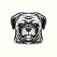 illustration main dessin carlin chien vintage vecteur