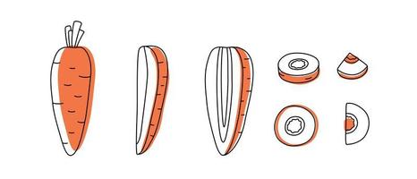 ensemble de carotte contour doodle avec des taches. entier, morceaux et feuilles vecteur