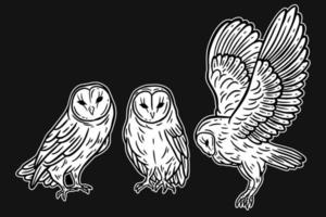 ensemble hibou oiseau animal dessiné à la main pour le tatouage et l'illustration d'art de t-shirt vecteur