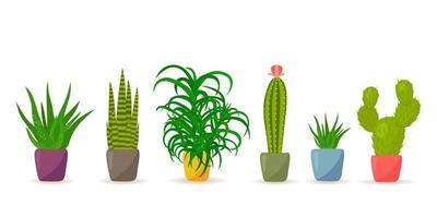 ensemble de cactus en pot et de plantes succulentes en style cartoon. vecteur