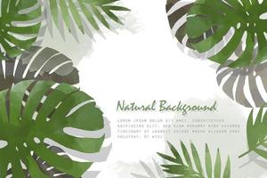 arrière-plan abstrait d'été avec plante aquarelle de décoration, nature, cadre de feuilles pour invitation ou carte. illustration vectorielle vecteur