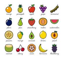 dessin de fruits simple et coloré. parfait pour l'illustration et l'enseignement des enfants. vecteur