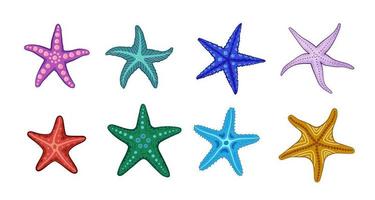 étoile de mer dans différents styles et couleurs. coloré et mignon. vecteur