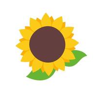 tournesols jaunes en fleurs remplis de graines de tournesol à l'intérieur pour décorer des cartes de bienvenue vecteur