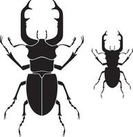 stag beetle bug noir et blanc illustration vectorielle vecteur