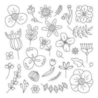 ensemble de fleurs de griffonnage. éléments vectoriels graphiques floraux et végétaux. vecteur