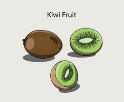 un ensemble d'illustrations de kiwis peut être utilisé comme kiwi de dessin animé, icône ou en merch. vecteur